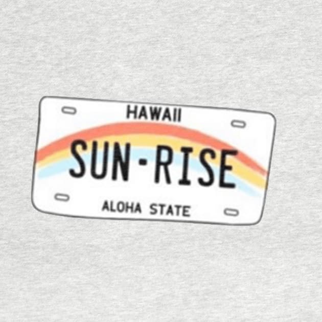 Hawaii Rainbow License Plate Design by Lauren Cude